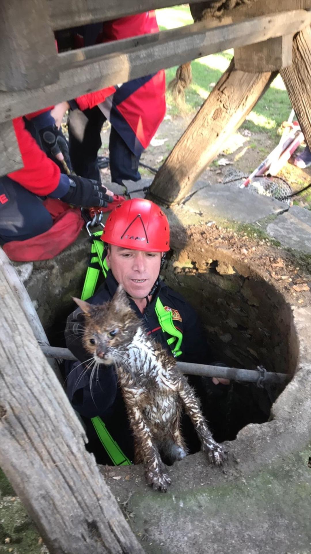 Kuyuya d&uuml;şen yavru kedi kurtarıldı 