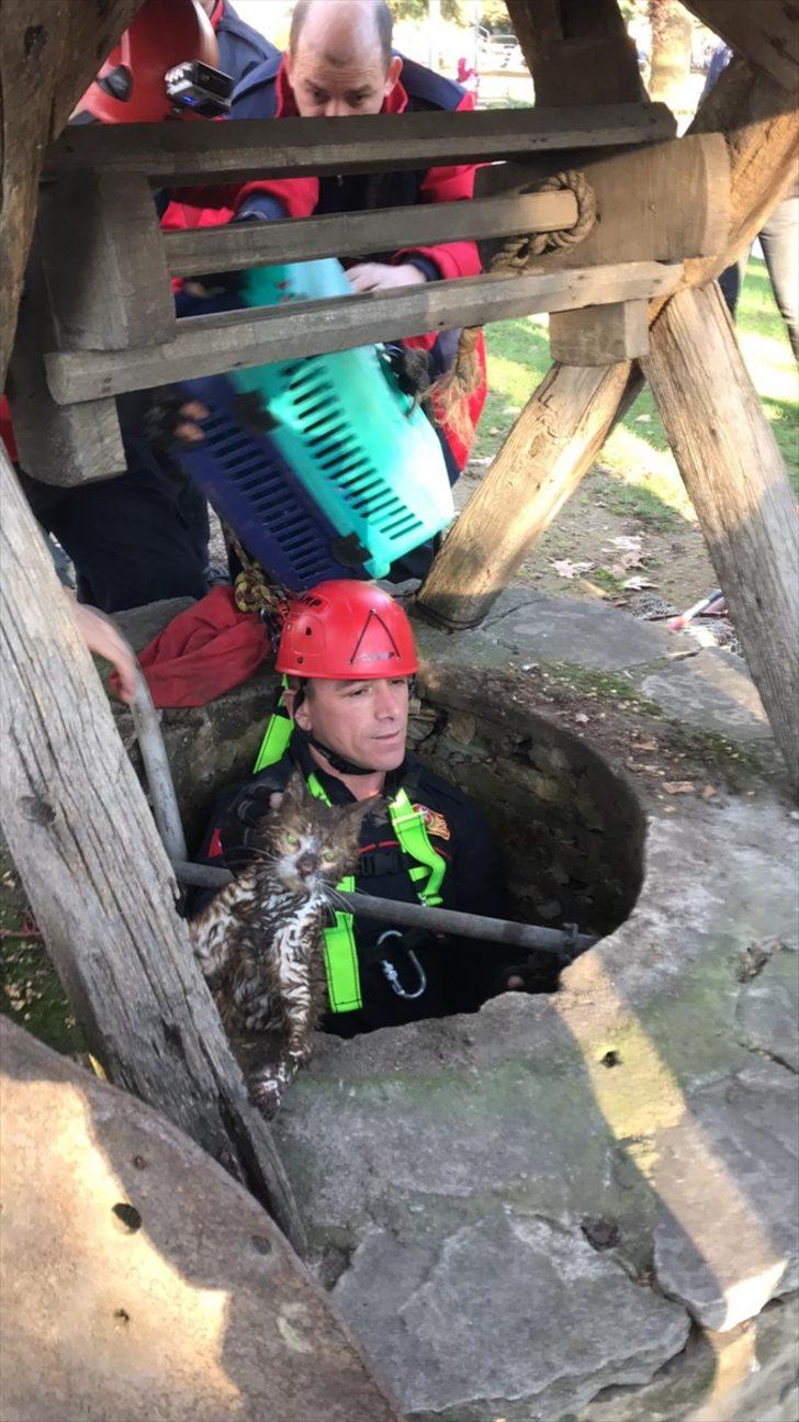 Kuyuya düşen yavru kedi kurtarıldı  G3