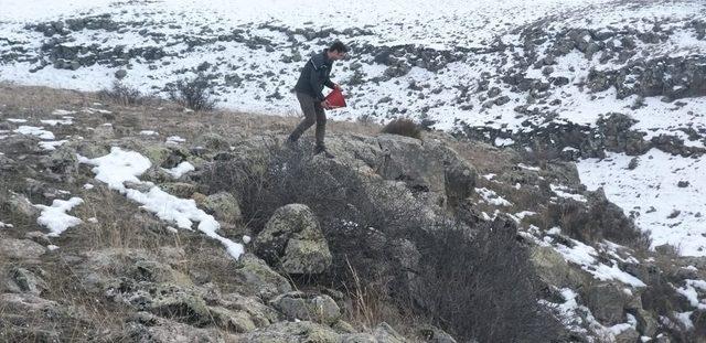 Kars’ta kombi hırsızları son işlerinde yakalandı