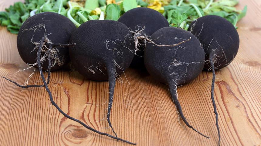 Sağlık deposu turpun 10 faydası