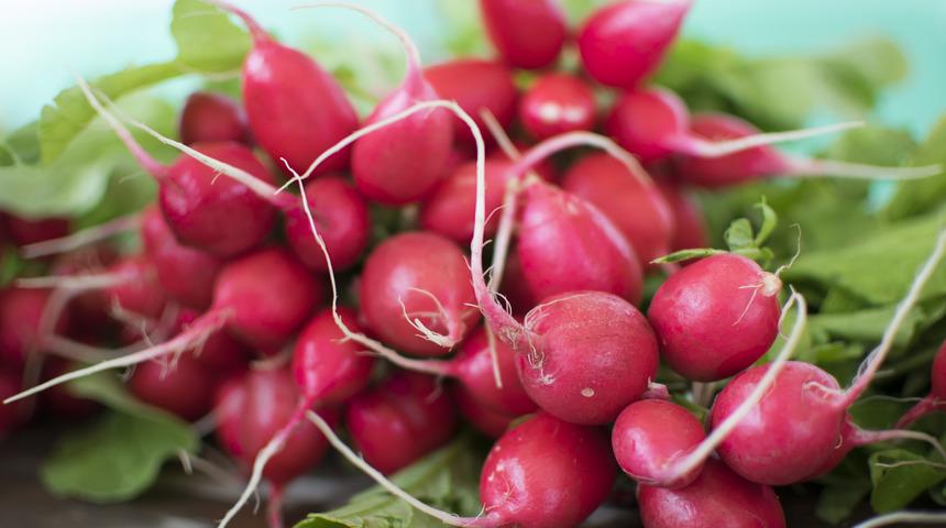 Sağlık deposu turpun 10 faydası