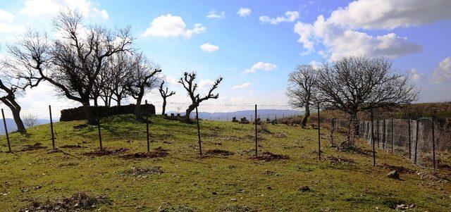 Lice Belediyesi, mezarlıkların etrafını tel örgüyle kapattı