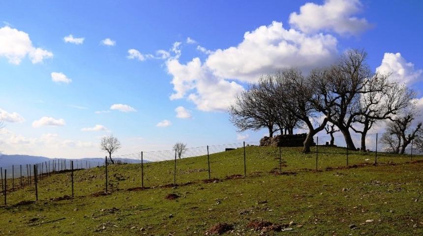 Lice Belediyesi, mezarlıkların etrafını tel örgüyle kapattı
