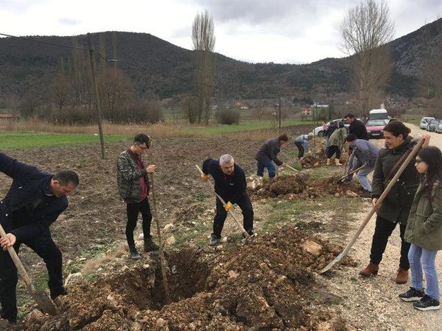 Gölpazarı’nda fidan dikim şenliği