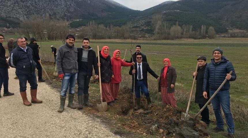 G&ouml;lpazarı&rsquo;nda fidan dikim şenliği
