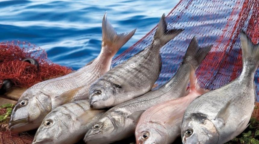 Sivilceye İyi Gelen Yiyecekler