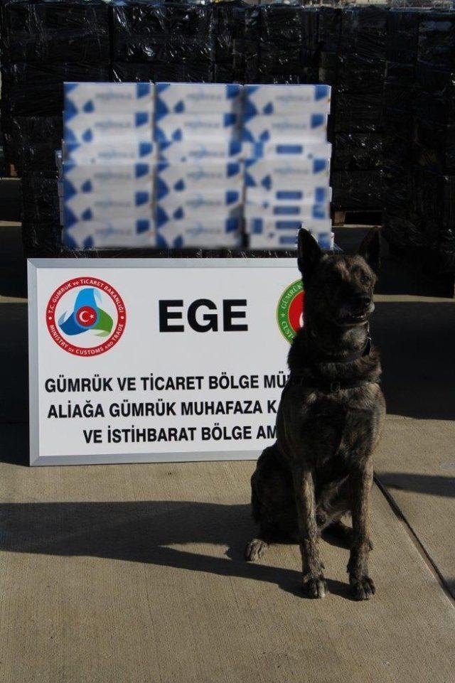 İzmir Aliağa Limanı’nda 500 bin paket kaçak sigara ele geçirildi