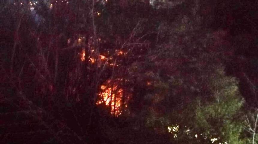 &Ccedil;aldıkları kabloları eritirken yangın &ccedil;ıkarttılar