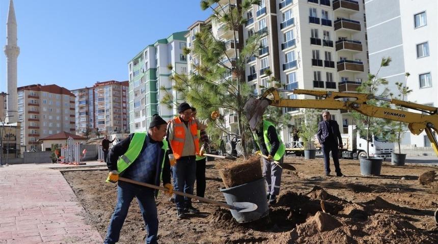 Cevher Dudayev Mahallesinde ağa&ccedil;landırma &ccedil;alışmaları s&uuml;r&uuml;yor