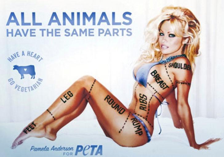 Pamela Anderson'un Anatomisi