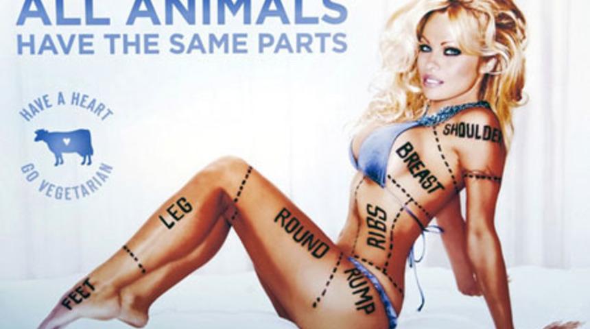 Pamela Anderson'un Anatomisi