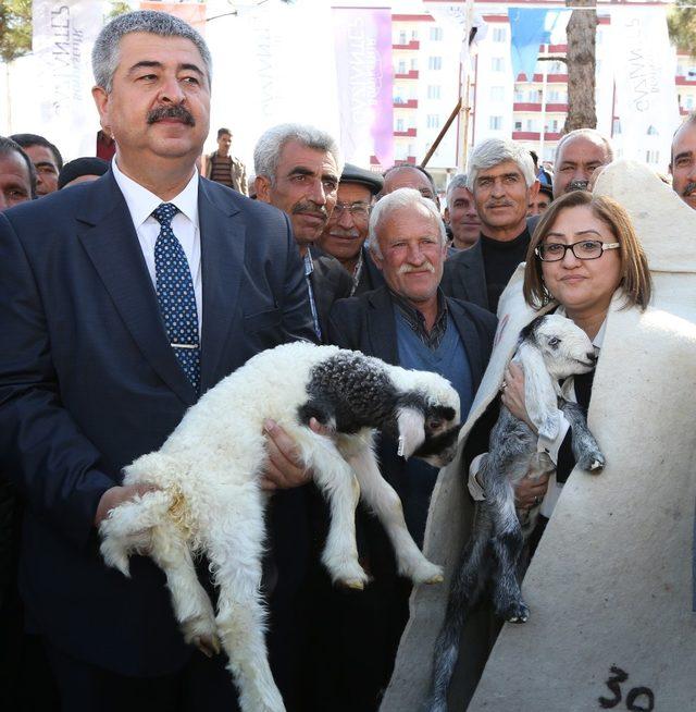 Büyükşehir’den üreticiye dev destek