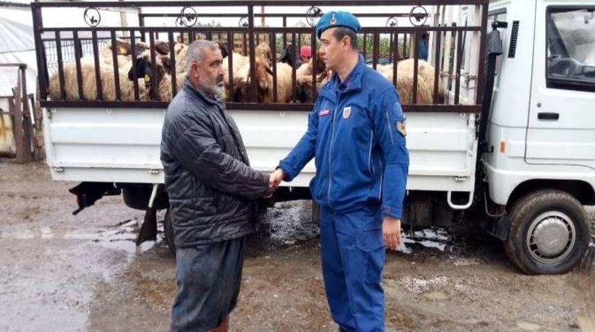 Hayvan hırsızları jandarmadan ka&ccedil;amadı