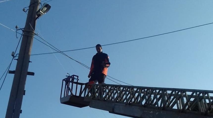 Elektrik teline takılan g&uuml;vercin kurtarıldı