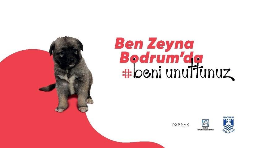 Dostlar i&ccedil;in sosyal sorumluluk projesi