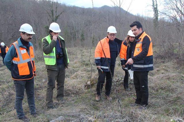 Yenice Orman İşletme Müdürlüğünde FSC denetimleri başladı