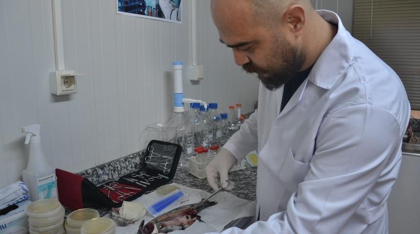 Birecik’te su ürünleri araştırma laboratuvarı açıldı