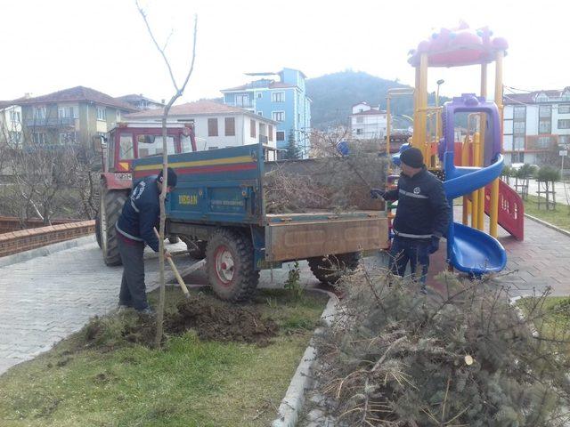 Simav’da park alanları ağaçlandırılıyor