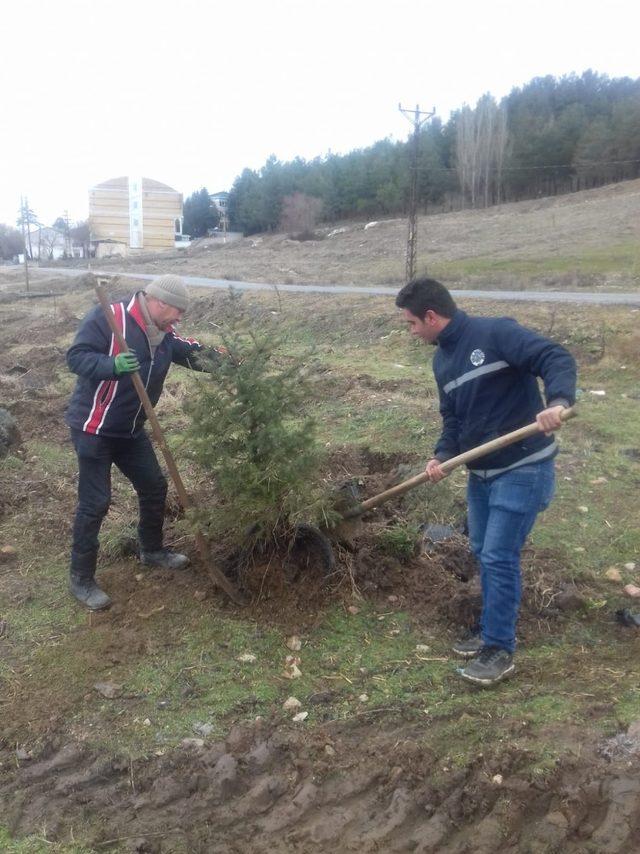 Simav’da park alanları ağaçlandırılıyor