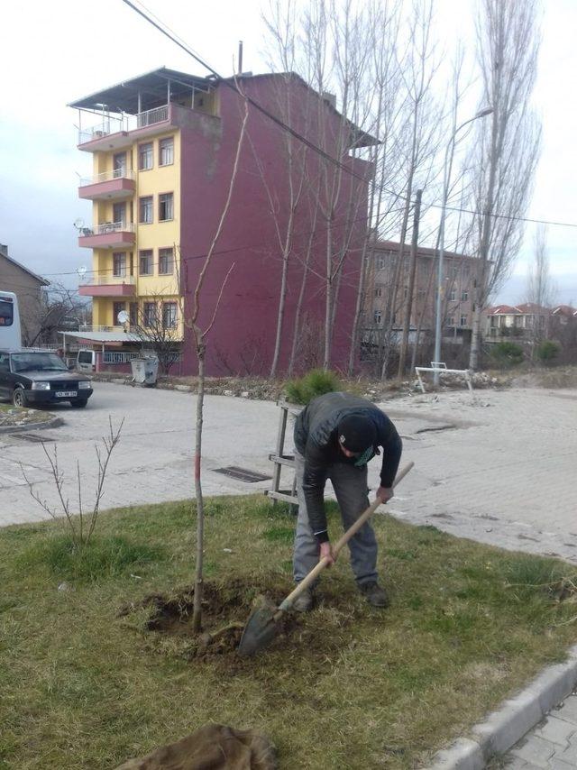 Simav’da park alanları ağaçlandırılıyor