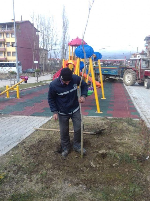 Simav’da park alanları ağaçlandırılıyor