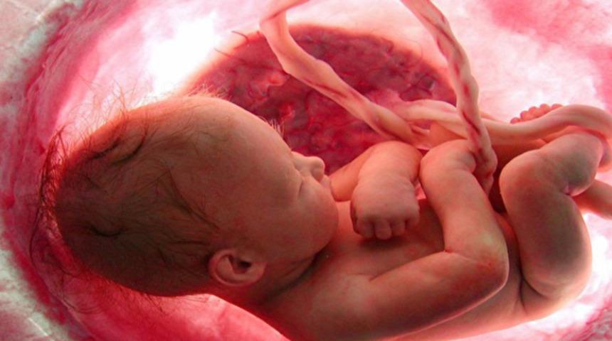 Mucizevi bağ fetal kordon ne zaman kesilmeli?