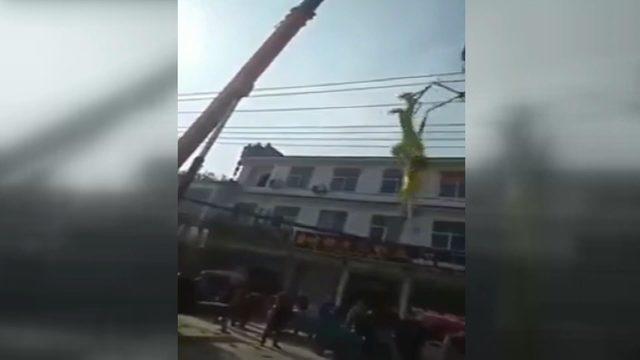 Vinçle şov yapmaya çalışınca... Korkunç son! 