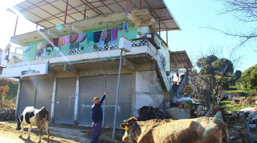 &Ouml;nce g&uuml;venlik kamerası yok oldu, ardından hayvanlar