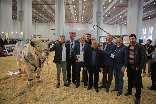 Agroexpo, toplamda 300 bin ziyaretçi sayısıyla rekor kırdı 4