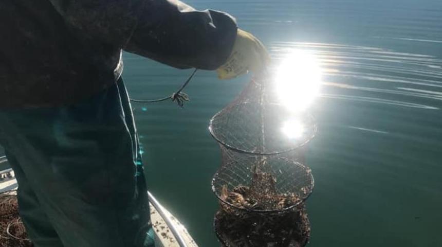 Eğirdir G&ouml;l&uuml;nde 340 kerevit sepetine el konuldu