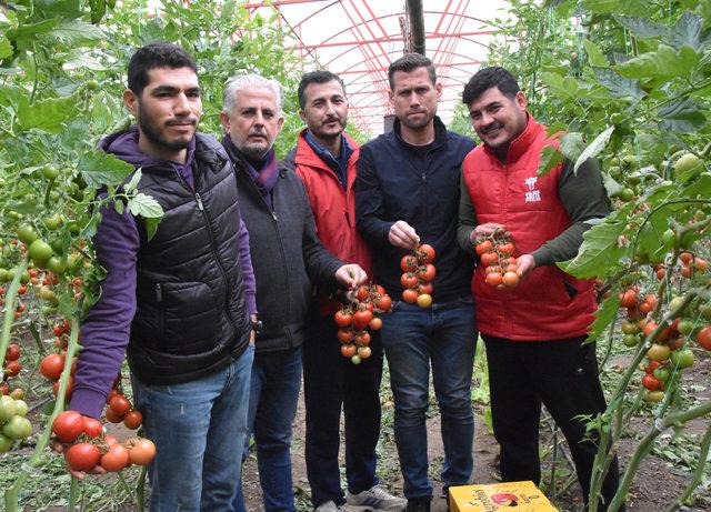 Üretici tanzim satışa karşı değil