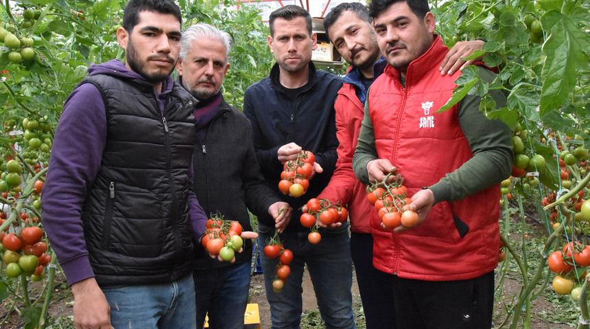 Üretici tanzim satışa karşı değil