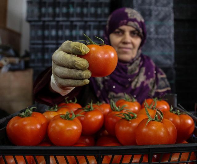 Antalya'dan tanzim satış noktalarına 3 günde 1000 ton sebze gönderildi