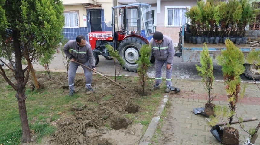 Turgutlu&rsquo;da Atat&uuml;rk Mahallesi de yeşilleniyor