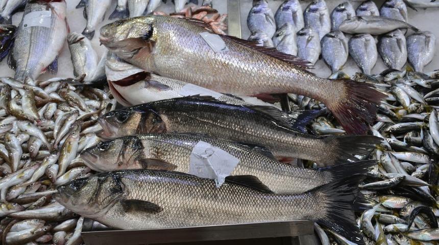 Balık&ccedil;ılarda levrek sevinci