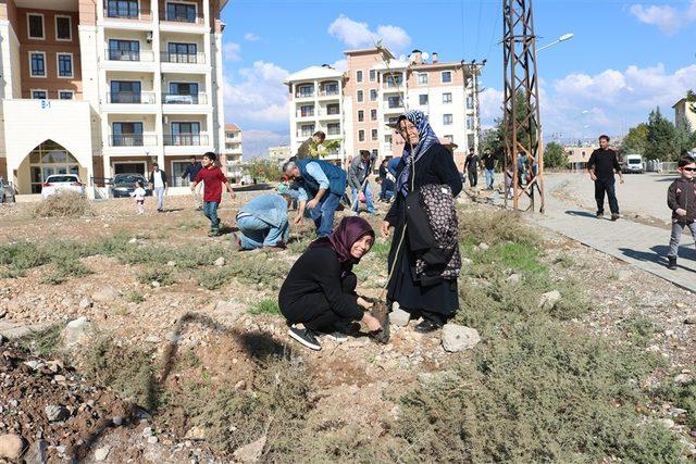 Silopi’de fidan dikme etkinliği