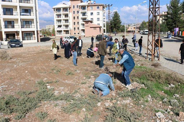 Silopi’de fidan dikme etkinliği