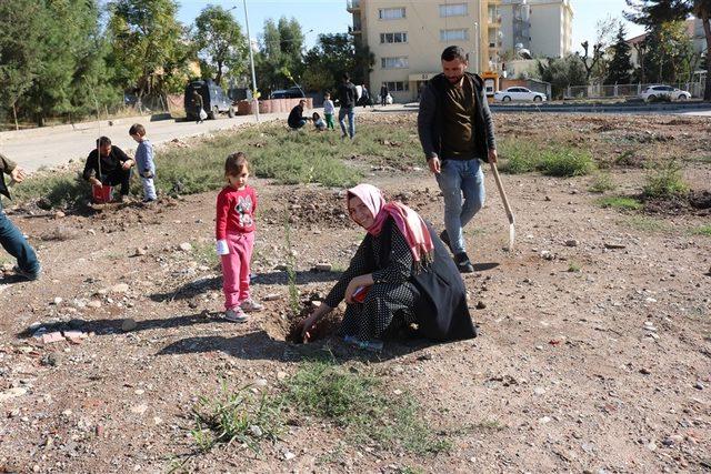 Silopi’de fidan dikme etkinliği