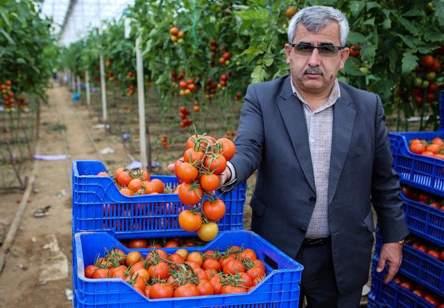 Antalya'dan tanzim satış noktalarına 3 günde 1000 ton sebze gönderildi (2)