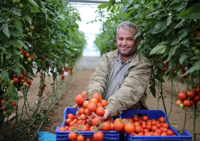 Antalya'dan tanzim satış noktalarına 3 günde 1000 ton sebze gönderildi (2)