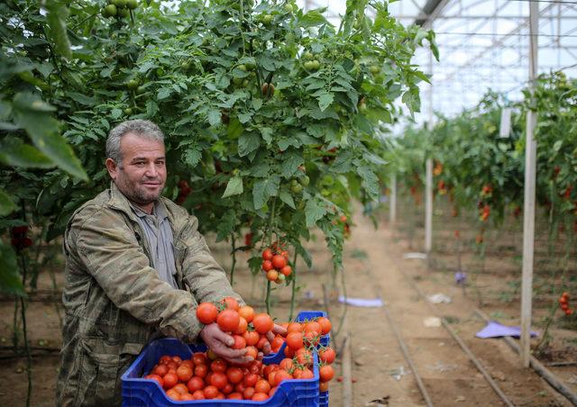 Antalya'dan tanzim satış noktalarına 3 günde 1000 ton sebze gönderildi (2)