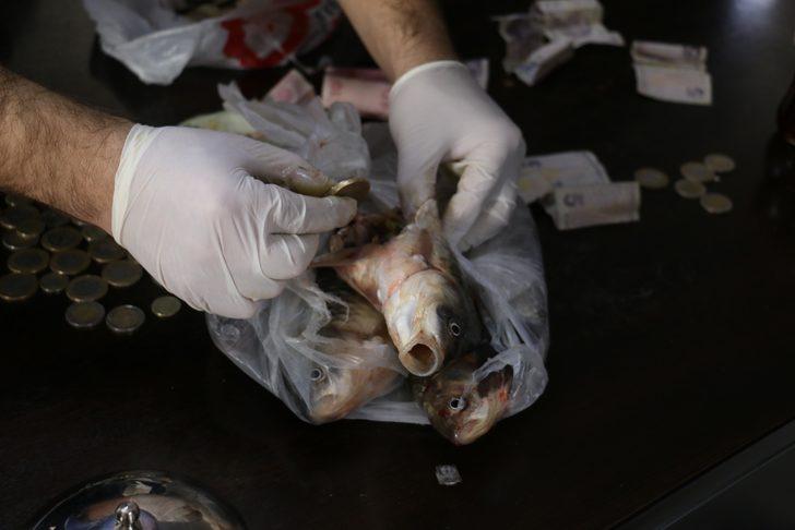 Dilendikleri paraları balık ve ekmek içine gizlediler  G3