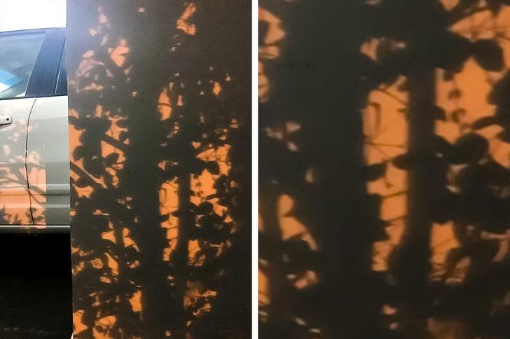 Gözlerinizin sizi yanılttığı hissine kapıldınız mı?  G2