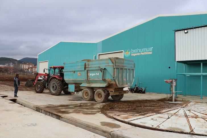 Çölde domates yetiştirilebilecek nitelikte gübre üretildi! G1