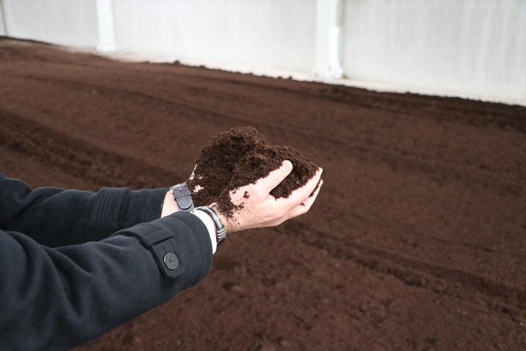 &Ccedil;&ouml;lde domates yetiştirilebilecek nitelikte g&uuml;bre &uuml;retildi!