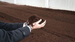 Çölde domates yetiştirilebilecek nitelikte gübre üretildi!