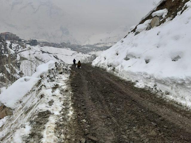 Hakkari’de yol stabilize çalışması