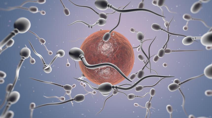 Spermler performans testinden ge&ccedil;iyor! Kadın bedeni zayıf spermi yumurtaya ulaşmadan atıyor