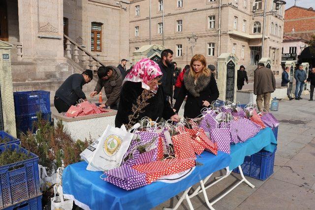 Aksaray’da Sevgililer Gününde fidan dağıtıldı