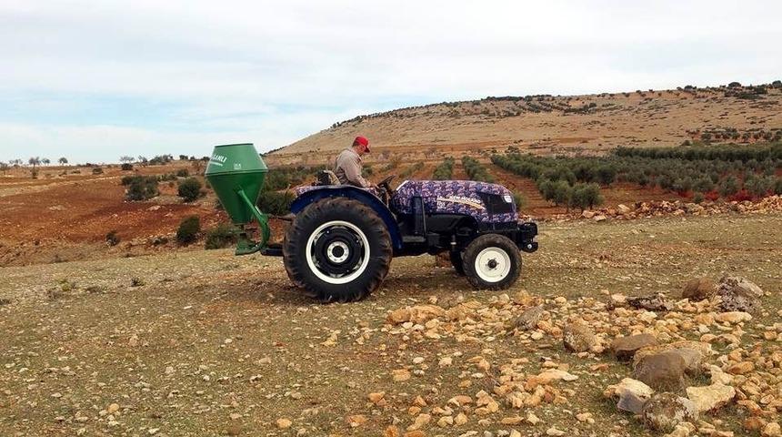 Meralarda ilkbahar g&uuml;brelemesi